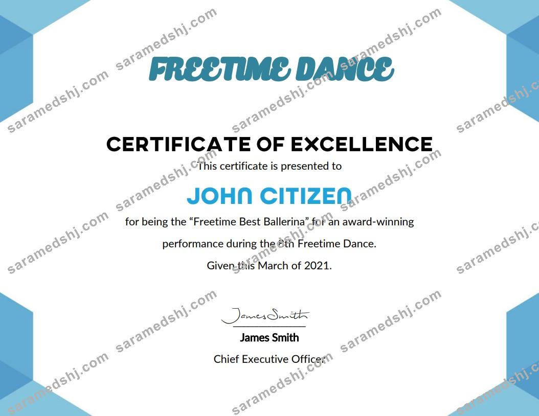 USA Best Performance Cert